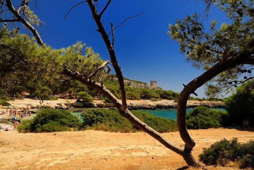 Cottage A 5 Minuti Dal Mare นาร์โด ภายนอก รูปภาพ